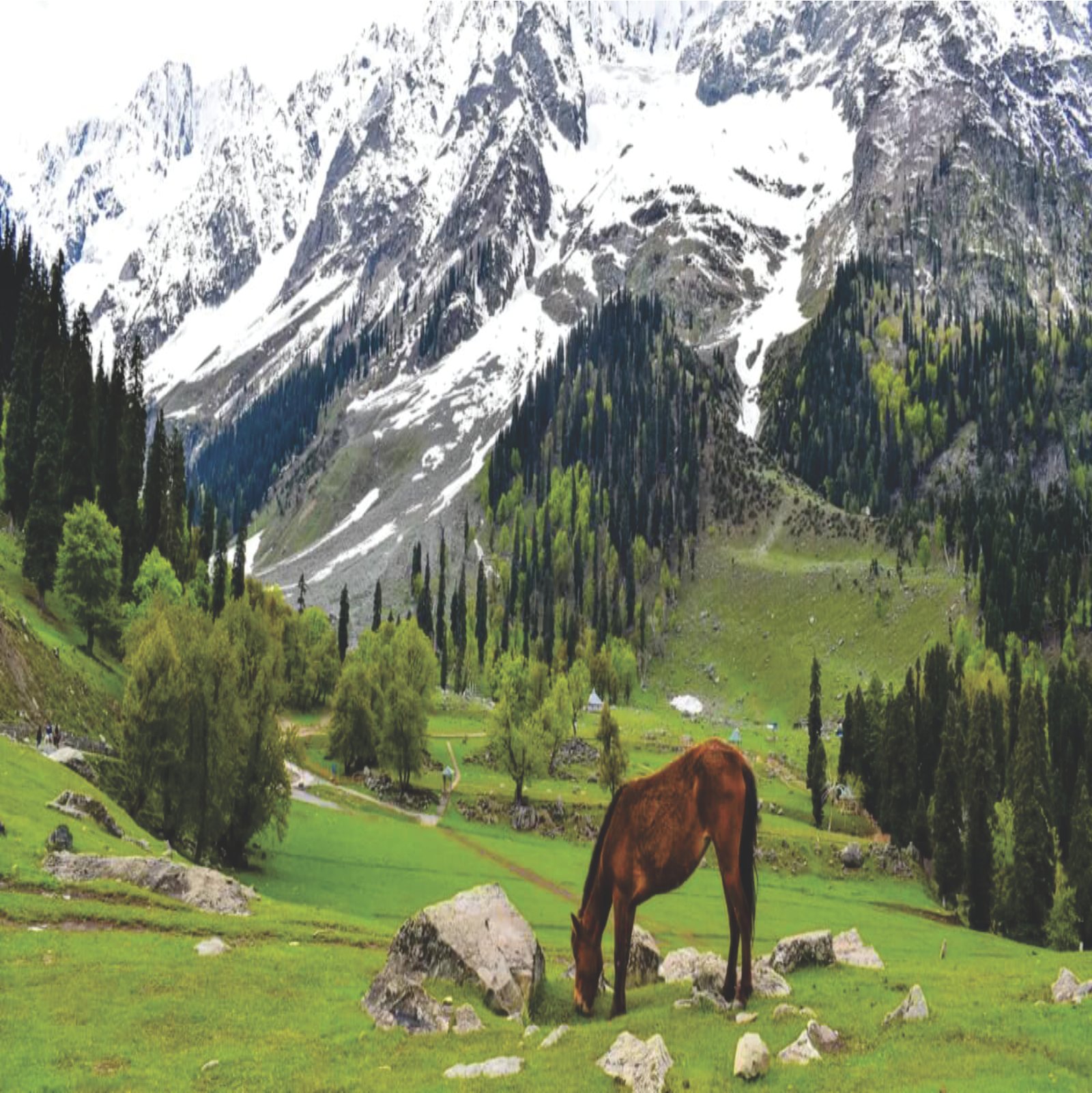 Jammu & Kashmir Tour Package